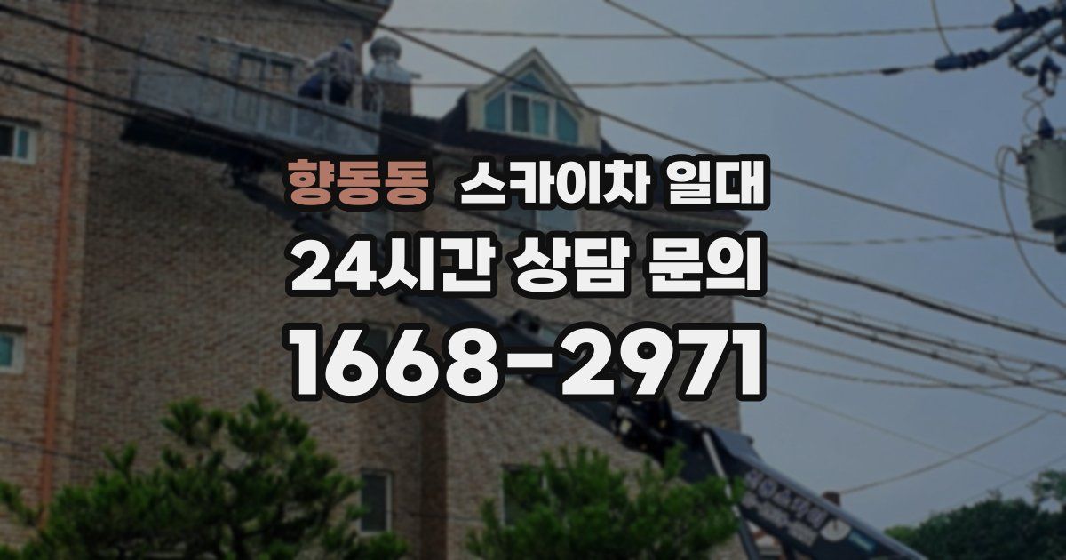 향동동 스카이차 일대