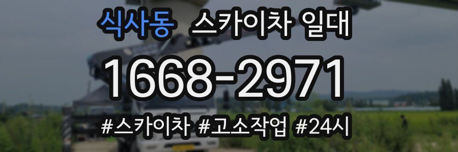 식사동 스카이차 일대