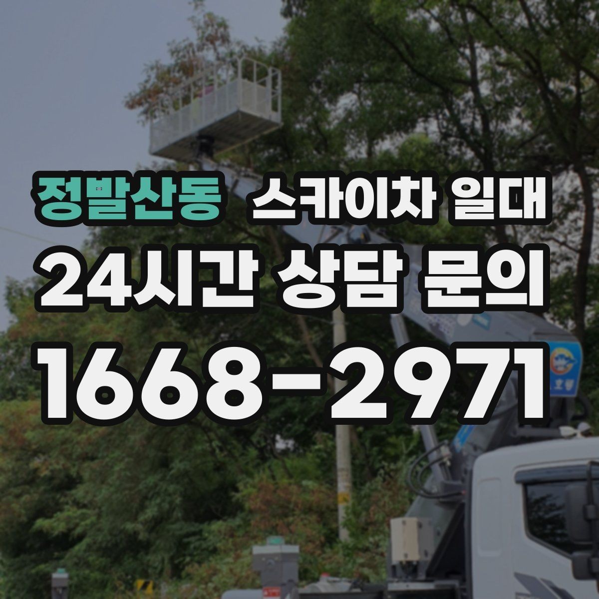 정발산동 스카이차 일대 장비 투입이 필요한 대표 사례