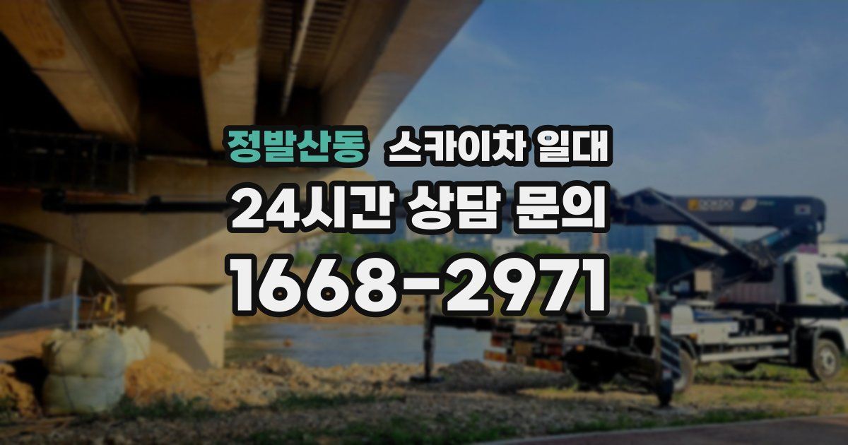 정발산동 스카이차 일대