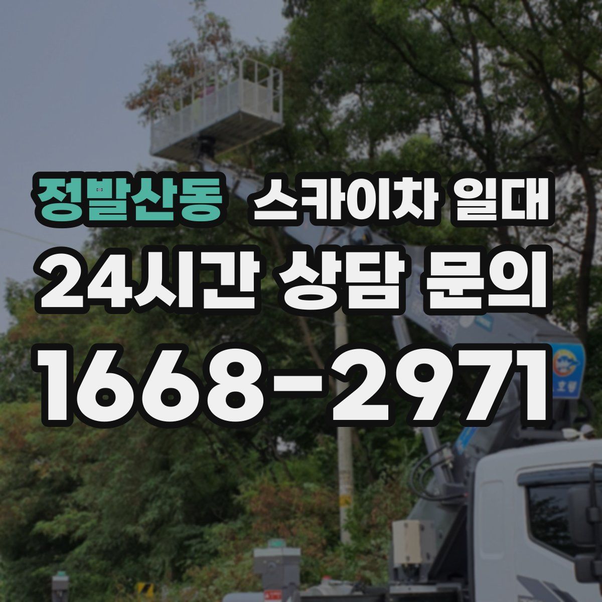 정발산동 스카이차 일대