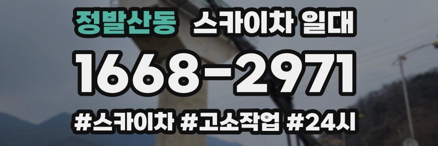 정발산동 스카이차 일대