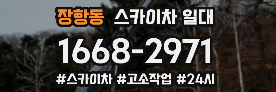 장항동 스카이차 일대