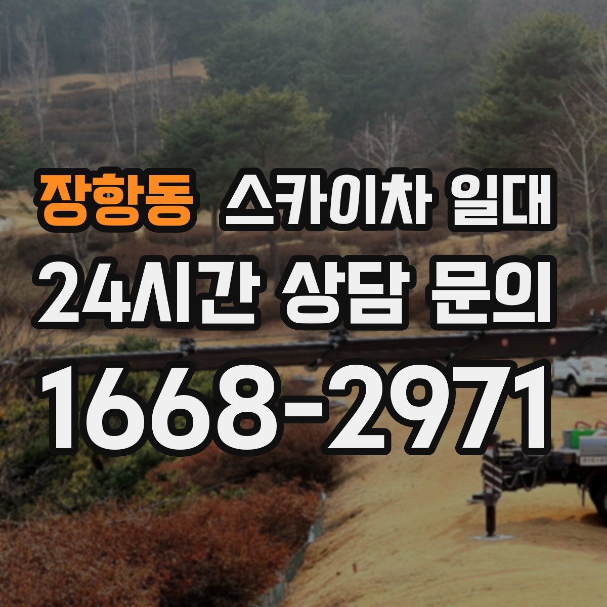 장항동 스카이차 일대