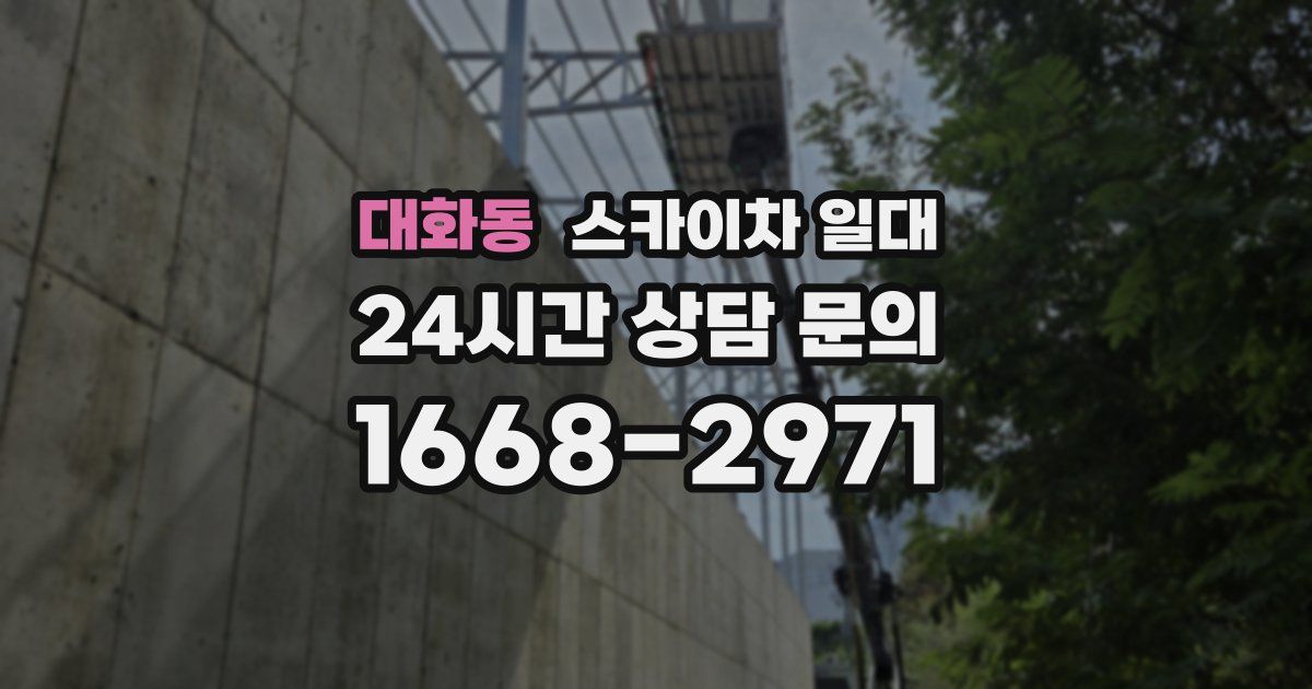 대화동 스카이차 일대