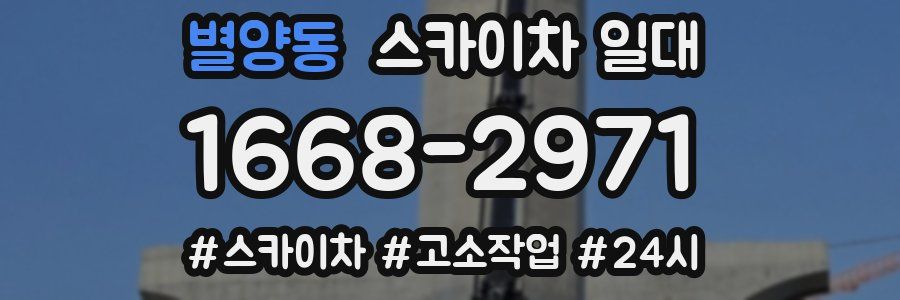 별양동 스카이차 일대