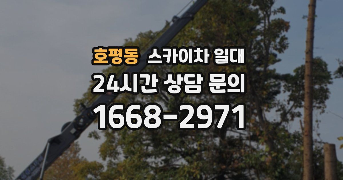 호평동 스카이차 일대