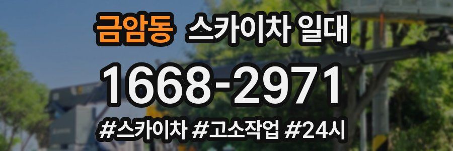 금암동 스카이차 일대