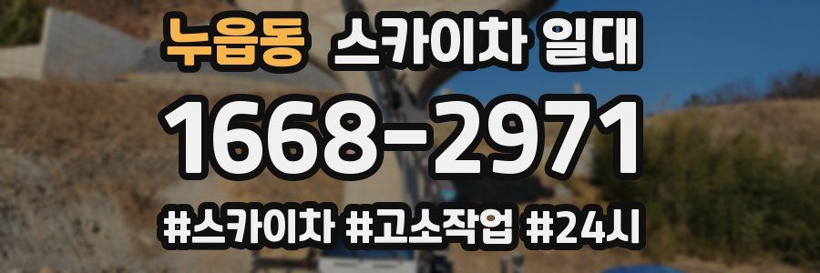 누읍동 스카이차 일대