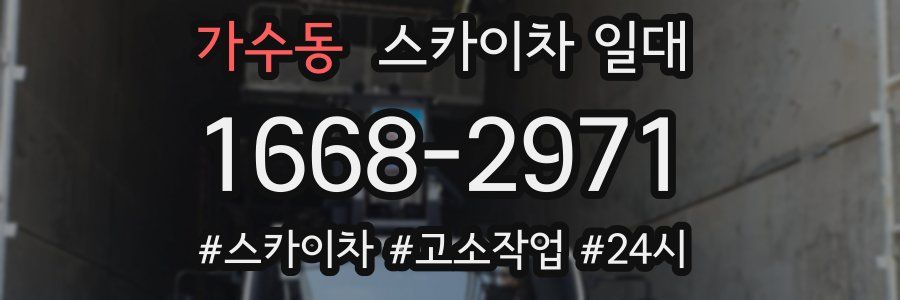 가수동 스카이차 일대