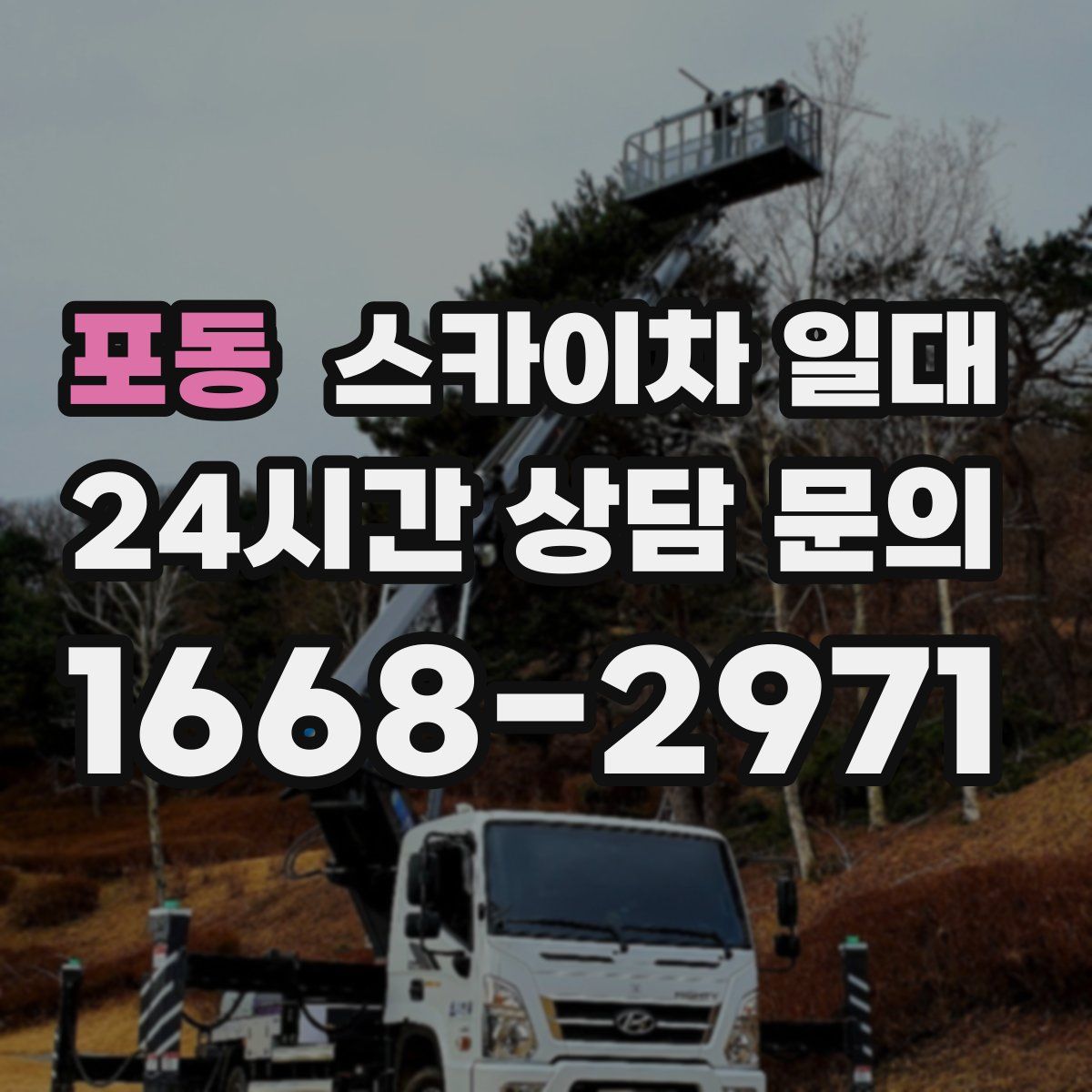 포동 스카이차 일대