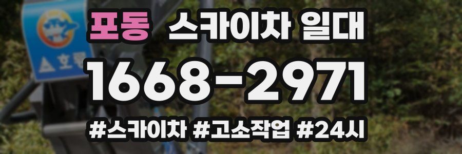 포동 스카이차 일대