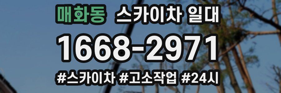매화동 스카이차 일대