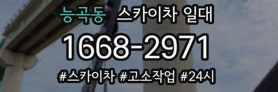 능곡동 스카이차 일대