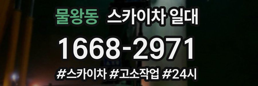 물왕동 스카이차 일대