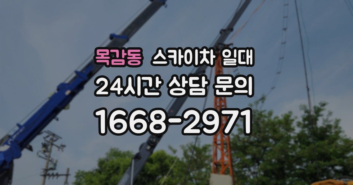 목감동 스카이차 일대
