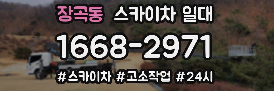 장곡동 스카이차 일대