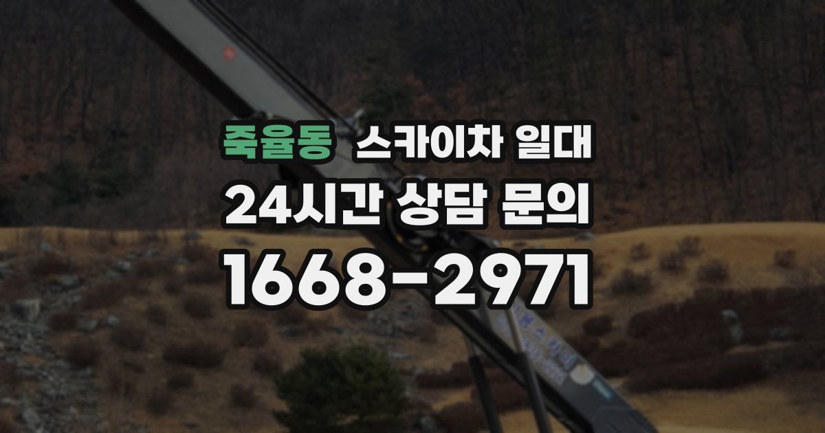 죽율동 스카이차 일대