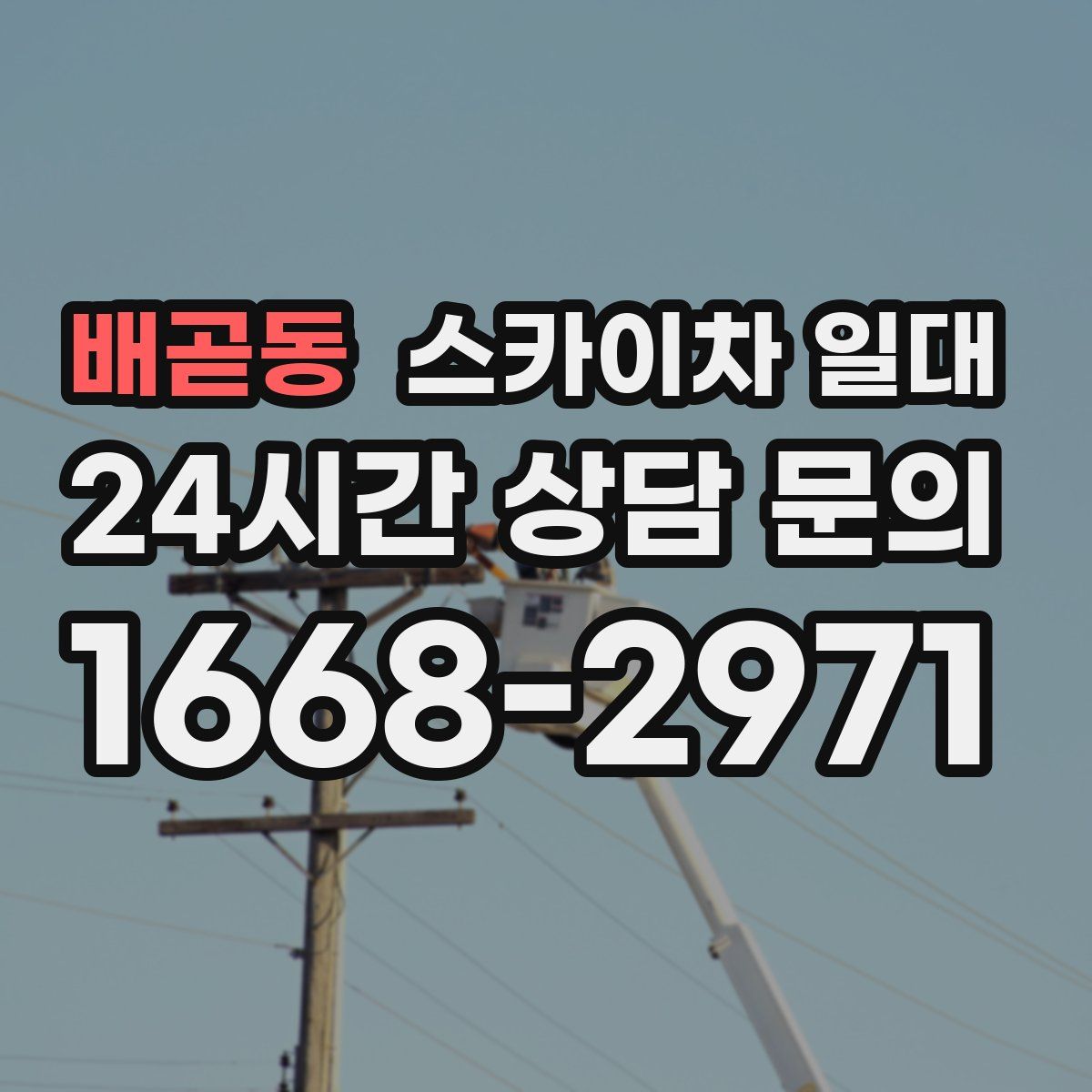 배곧동 스카이차 일대