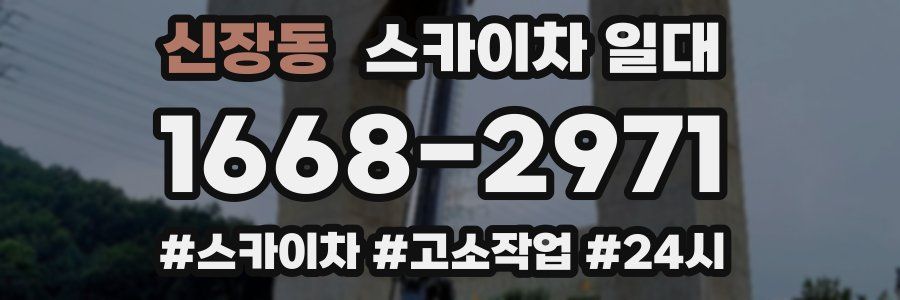 신장동 스카이차 일대