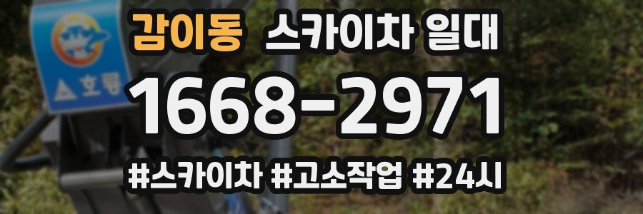 감이동 스카이차 일대