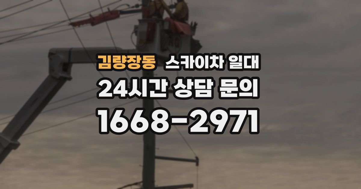 김량장동 스카이차 일대