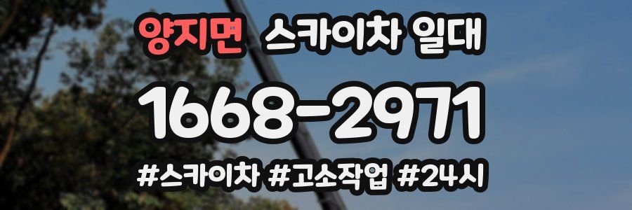 양지면 스카이차 일대