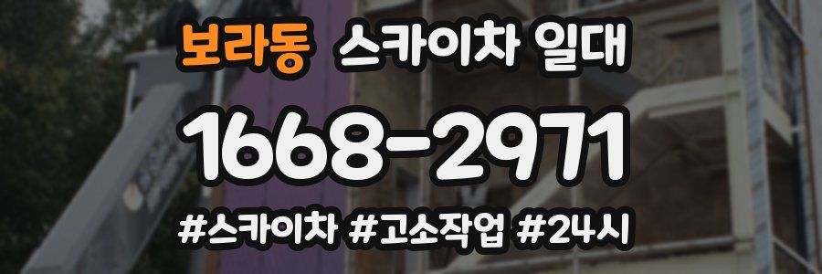 보라동 스카이차 일대