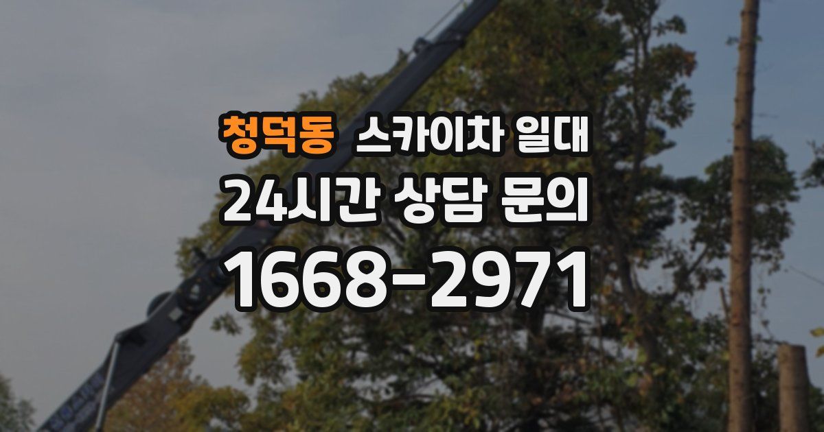 청덕동 스카이차 일대