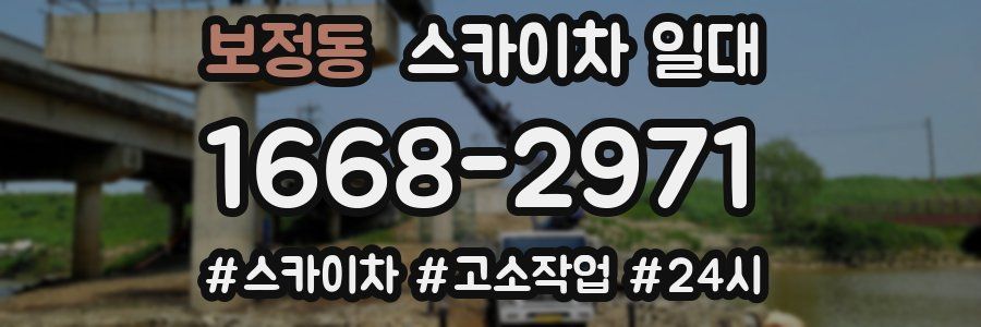 보정동 스카이차 일대