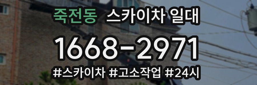 죽전동 스카이차 일대