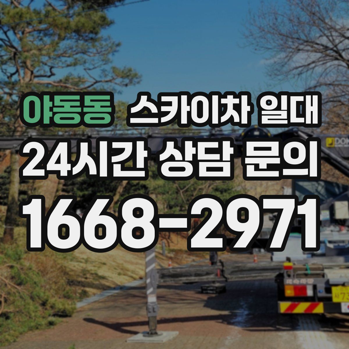 야동동 스카이차 일대