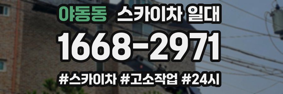 야동동 스카이차 일대