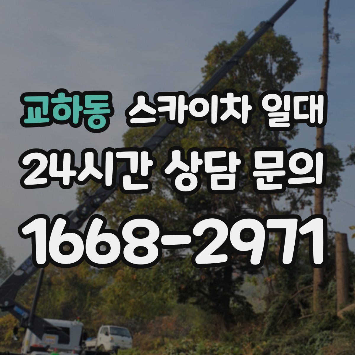 교하동 스카이차 일대