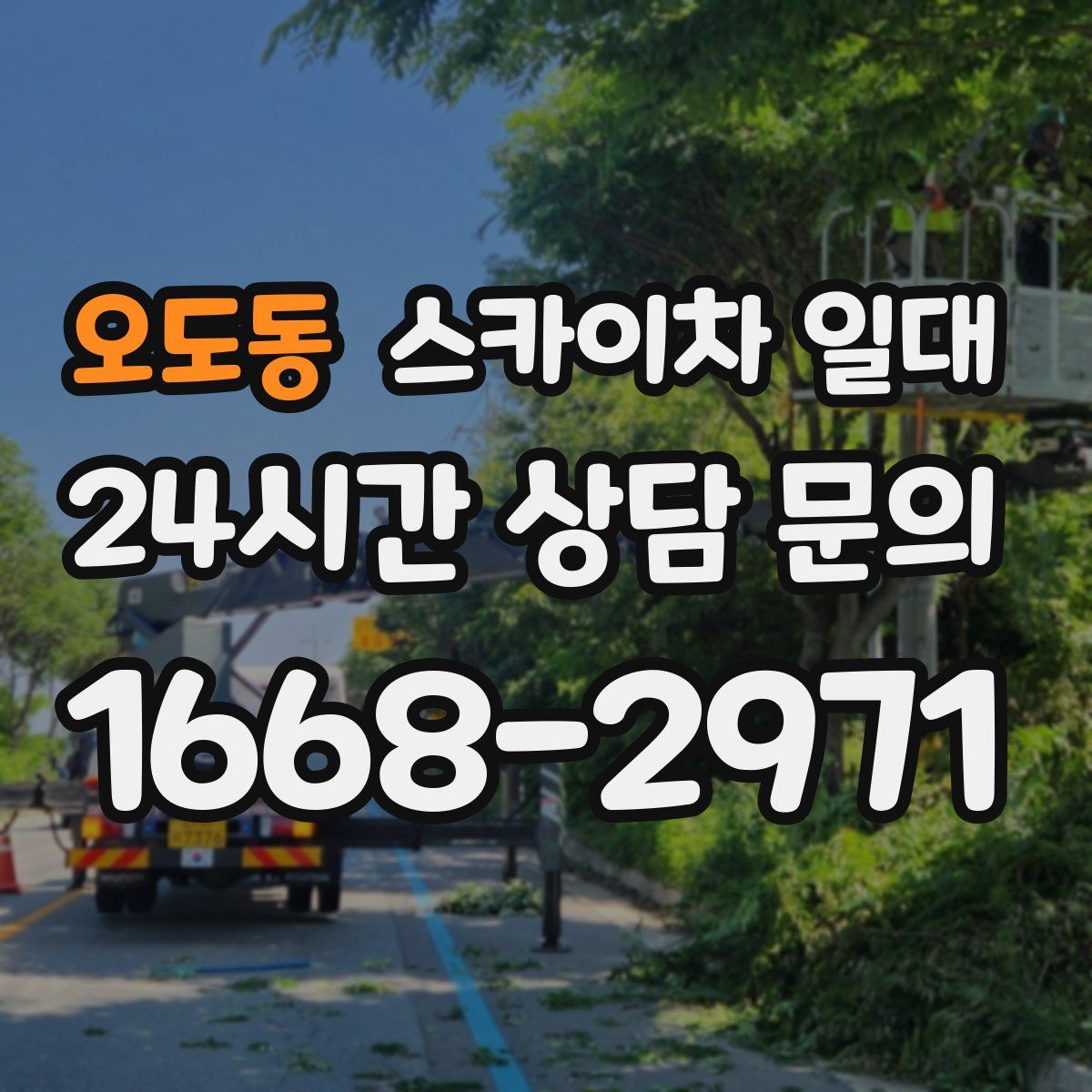 오도동 스카이차 일대