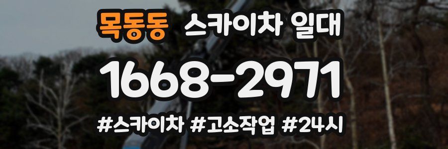 목동동 스카이차 일대