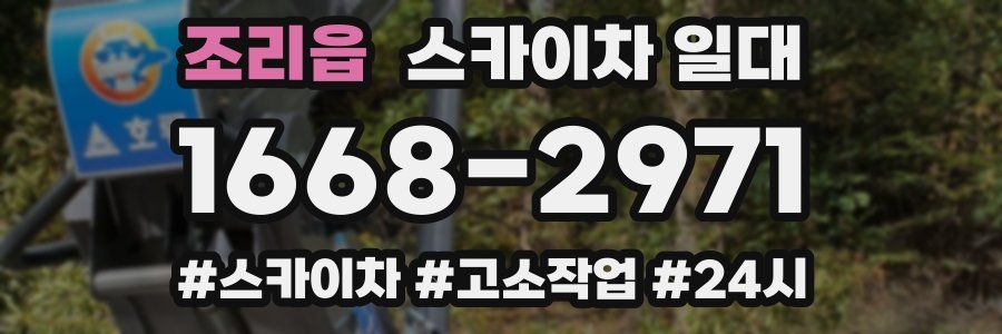 조리읍 스카이차 일대