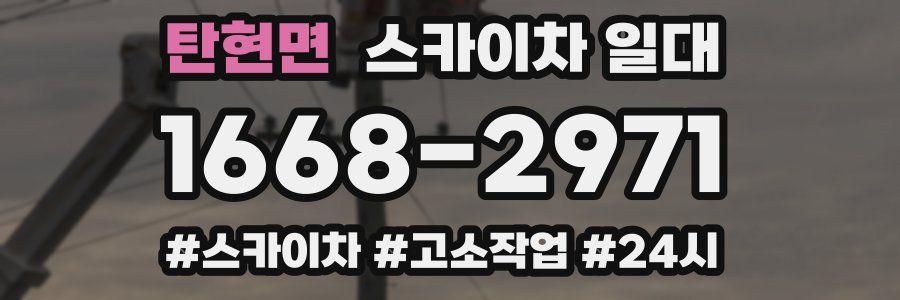 탄현면 스카이차 일대
