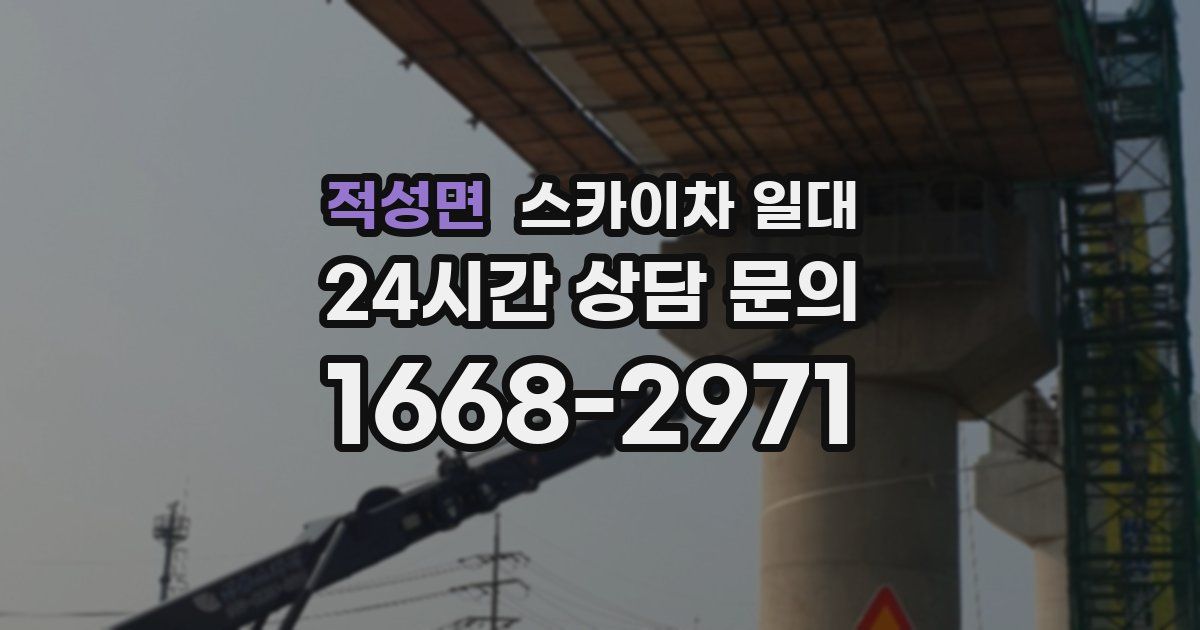 적성면 스카이차 일대