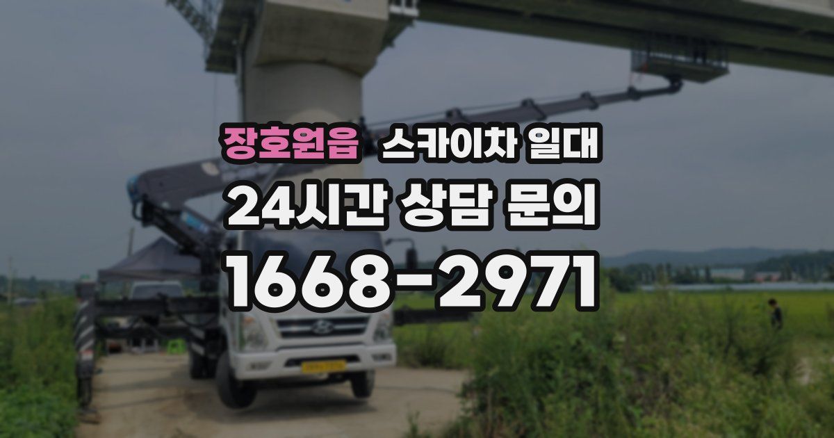 장호원읍 스카이차 일대