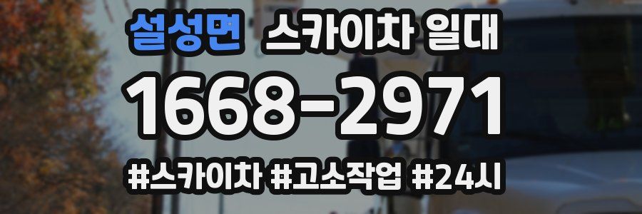 설성면 스카이차 일대