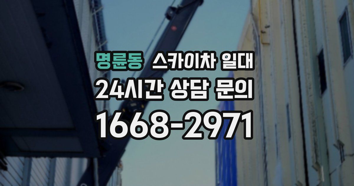 명륜동 스카이차 일대