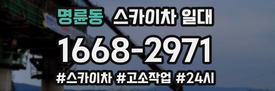 명륜동 스카이차 일대