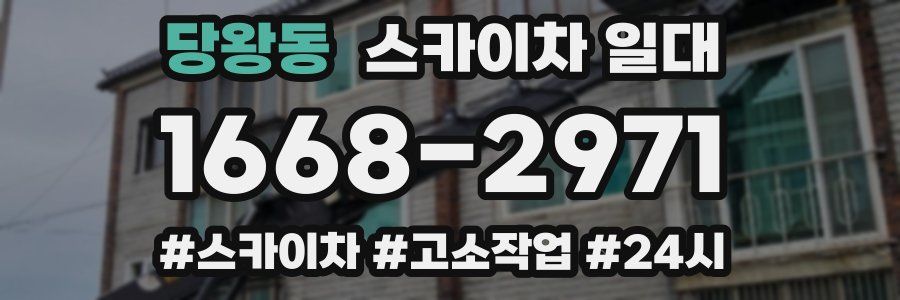 당왕동 스카이차 일대
