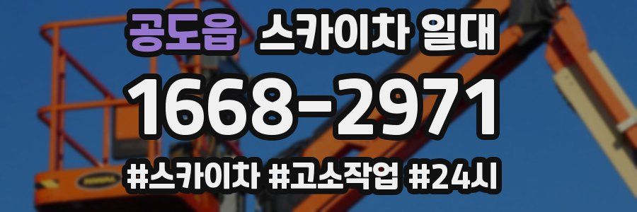 공도읍 스카이차 일대