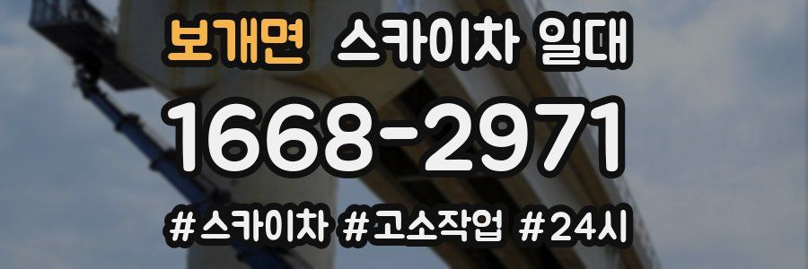 보개면 스카이차 일대
