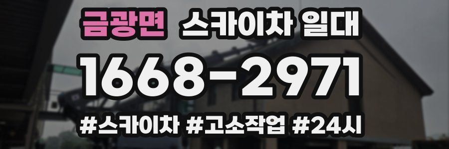 금광면 스카이차 일대