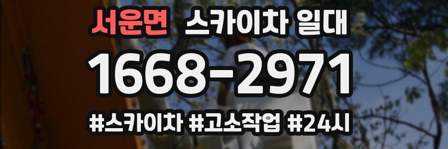 서운면 스카이차 일대