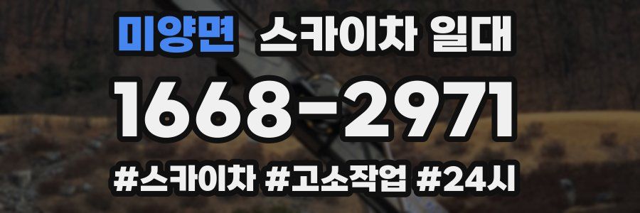 미양면 스카이차 일대