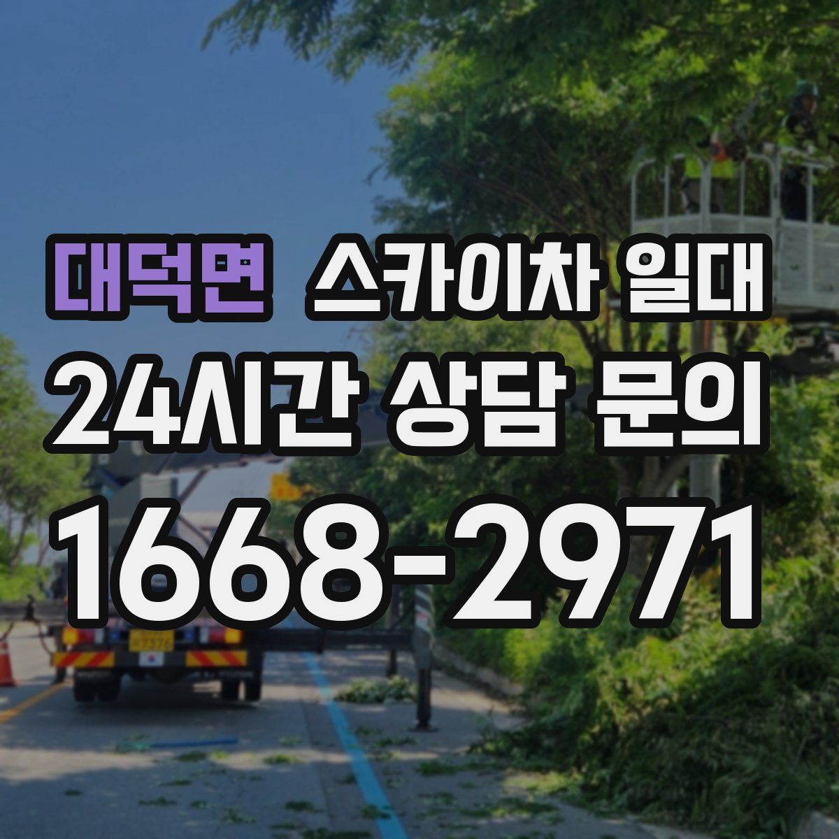 대덕면 스카이차 일대